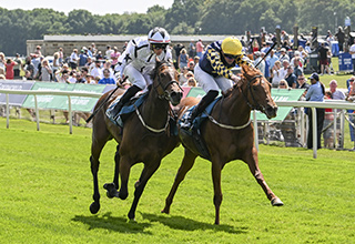 Carnation Queen 2026