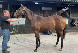 Spark In The Coal 2026